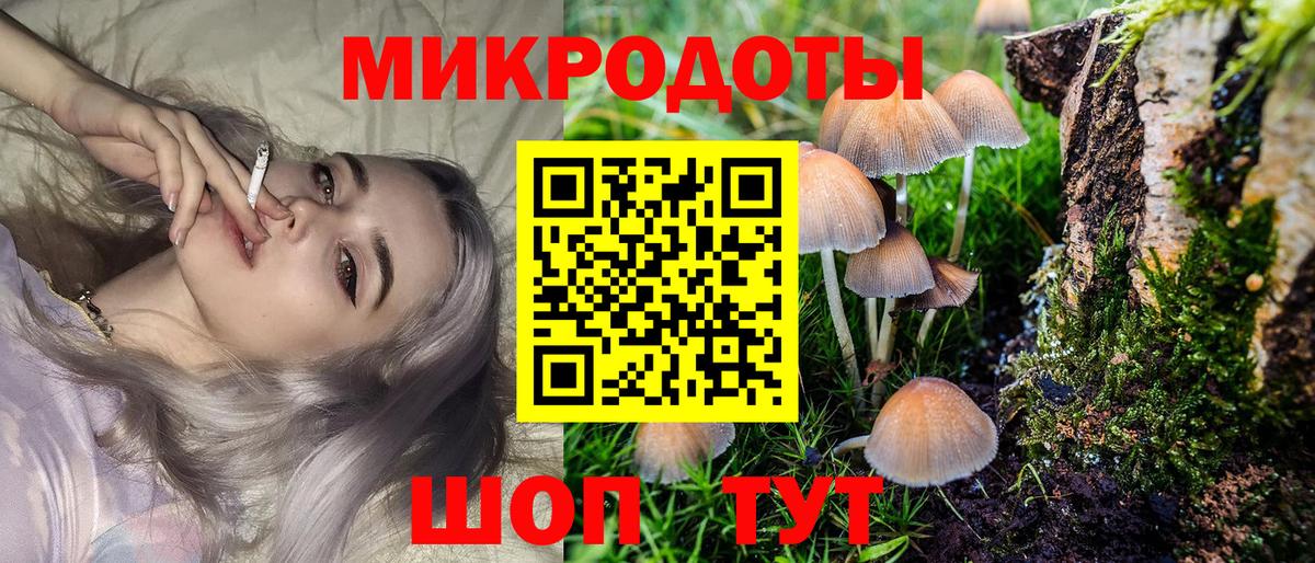 Псилоцибиновые грибы ЛСД Коряжма